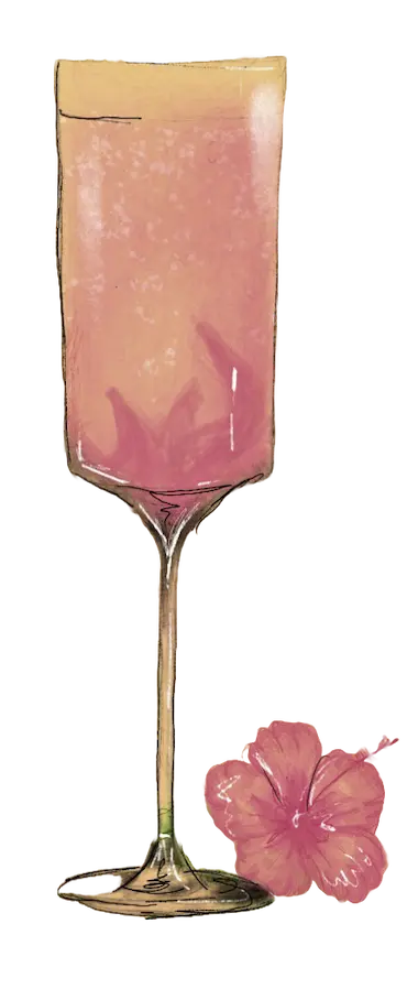 Artistic drawing of the Poisoned Hibiscus cocktail